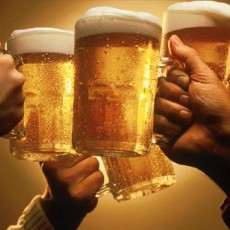 Brewery Fiesta | Night Activities | The Weekend In Vilnius