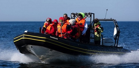 Speed | RIB Powerboats | Day Activities | The Weekend In Vilnius